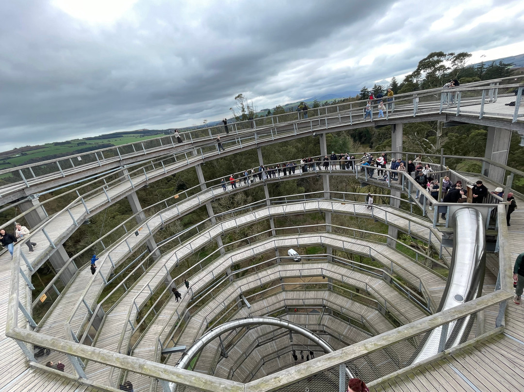 Treetop Walk Avondale-Rathdrum必去景点
