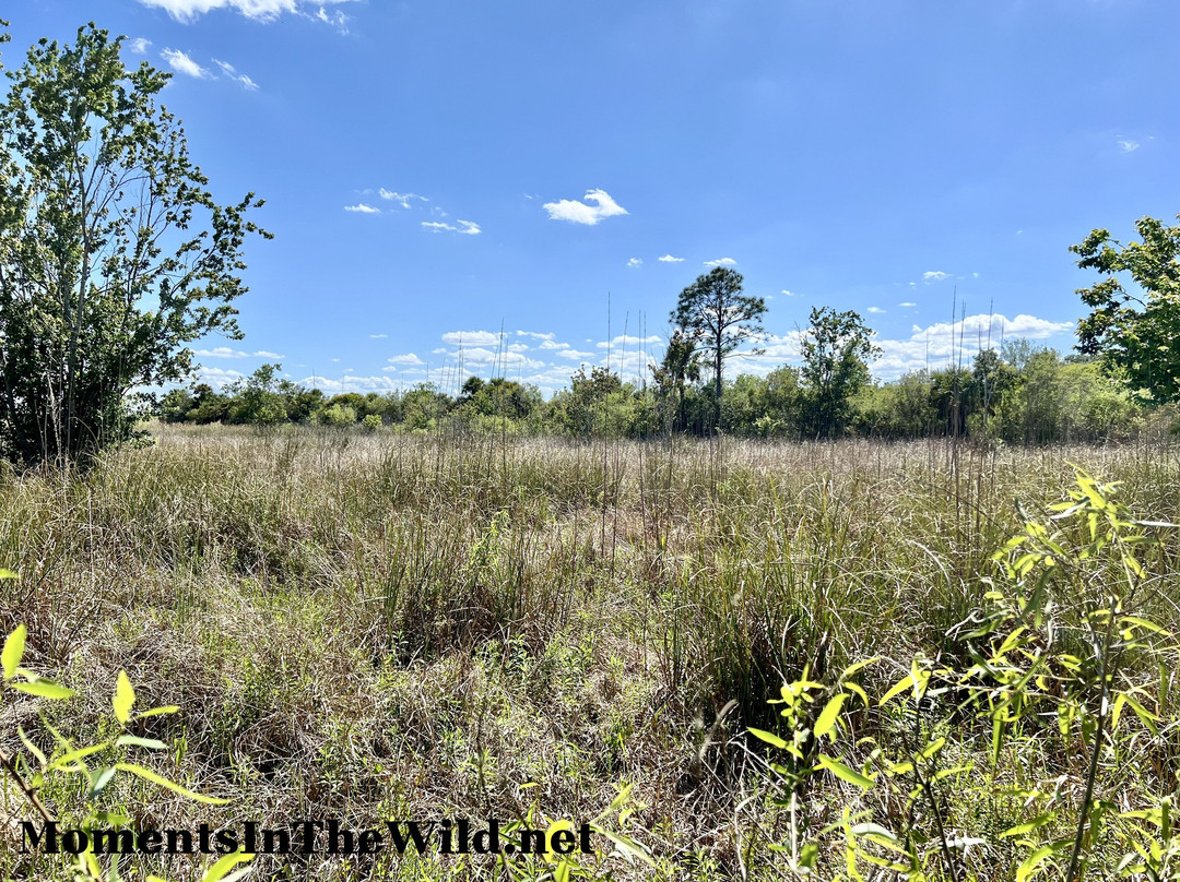 CREW Marsh Trails-Immokalee必去景点