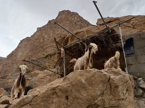 Wadi Tiwi Mibam Adventure-提维必去景点