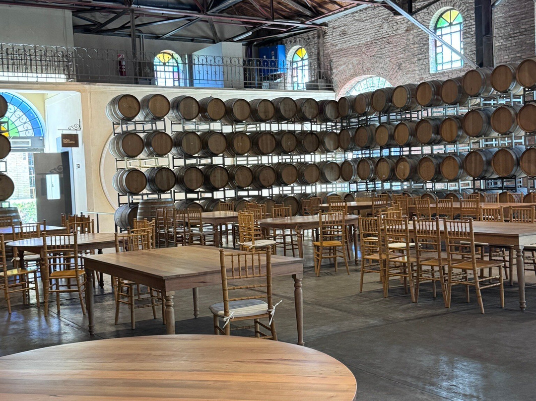 Bodega Los Toneles-门多萨必去景点