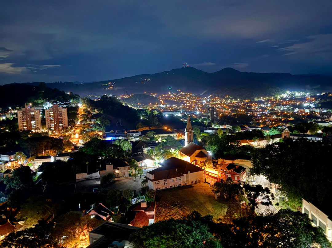 新汉堡天鹅酒店主图