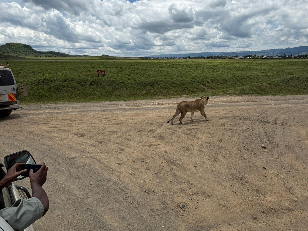 HIDAYA AFRICA TOURS AND TRAVEL-纳库鲁必去景点