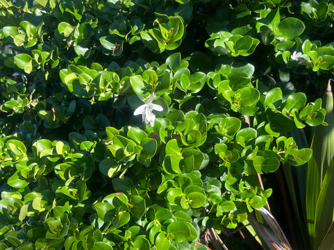 海滩套房酒店主图