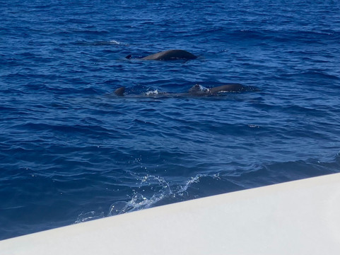 Tina Excursiones-Valle Gran Rey必去景点