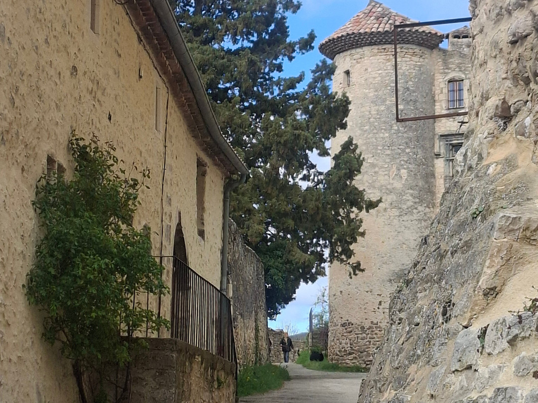 Chateau des Hospitaliers-Le Poet-Laval必去景点