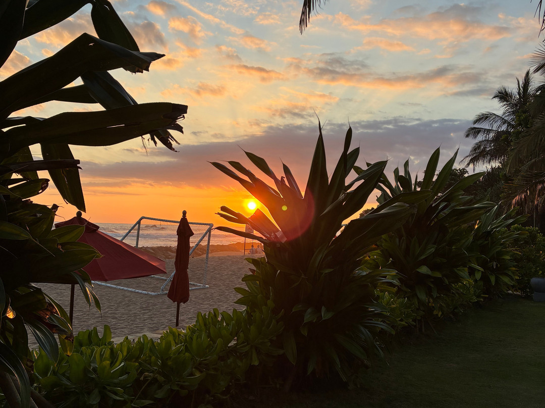 Bee Travels-康提必去景点