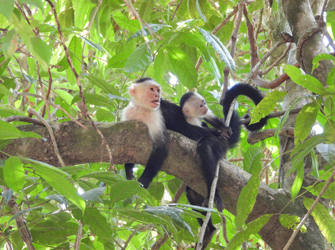 0S3 Private Tours-哈科必去景点