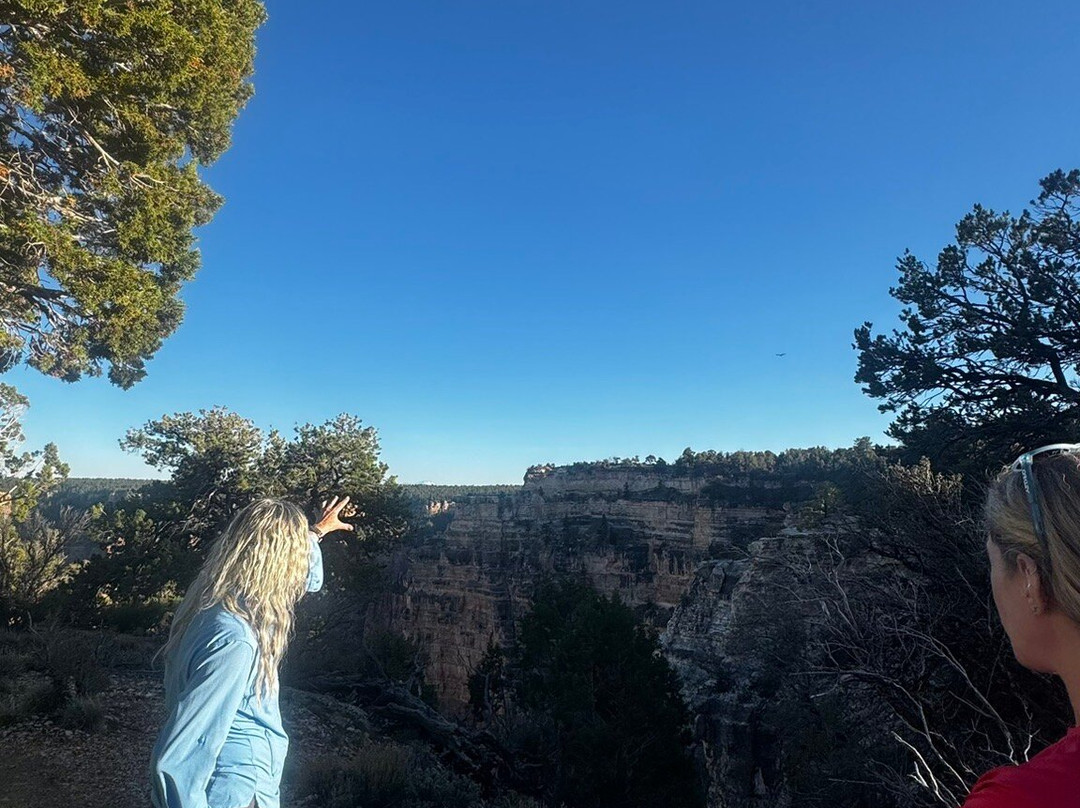 Trailer Village RV Park主图