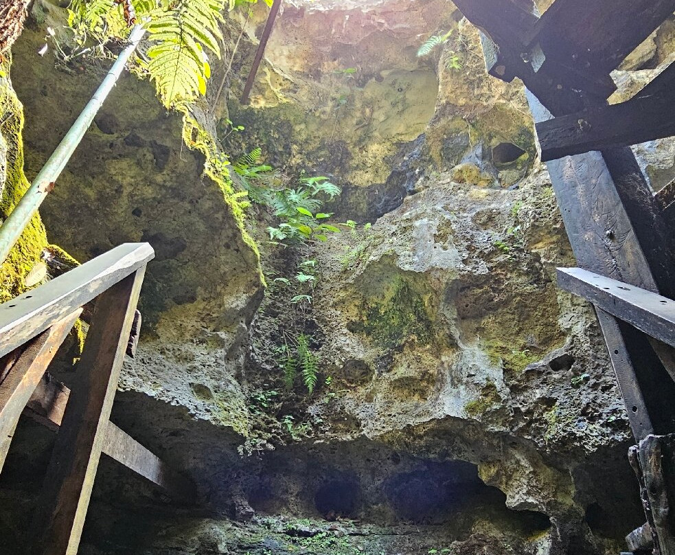 Cenotes Tamcach-Ha & Choo-Ha-Coba必去景点