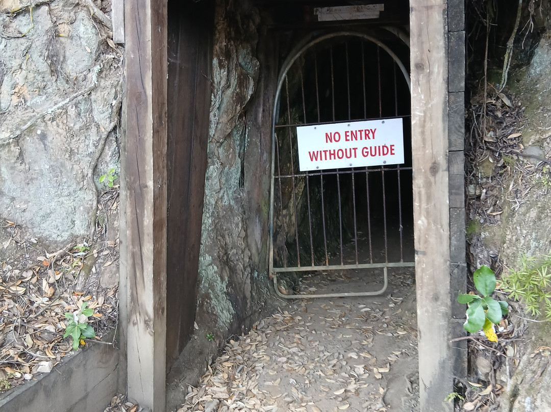 Goldmine Experience-Thames必去景点