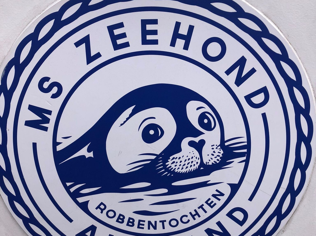 Zeehond Robbentocht-Nes必去景点