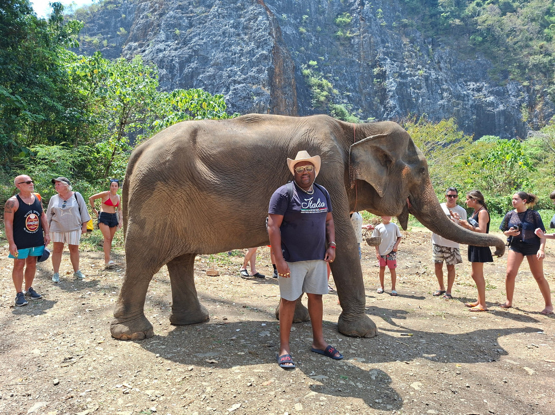 Krabi Elephant Sanctuary-甲米必去景点