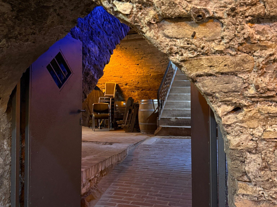 Oppenheimer Kellerlabyrinth-Oppenheim必去景点