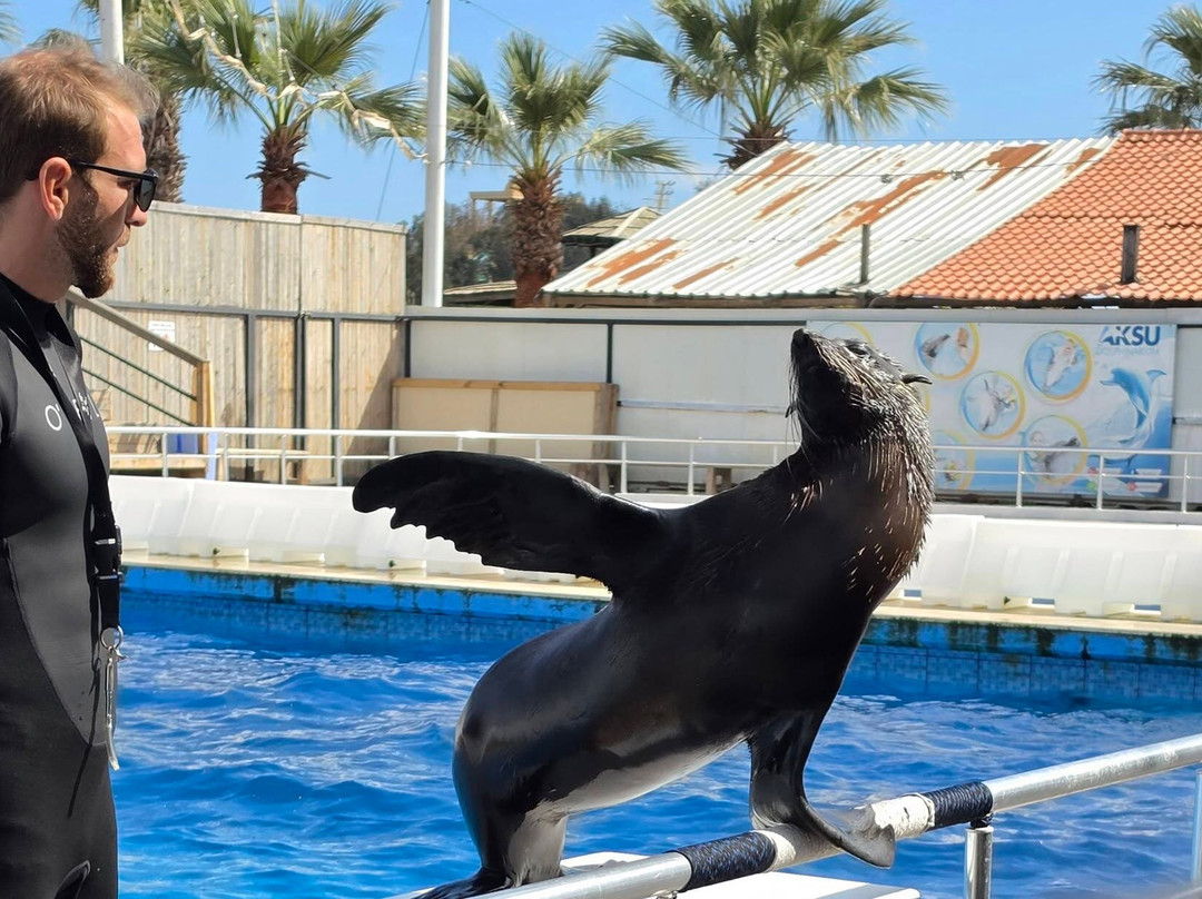 Aksu Dolphinarium-安塔利亚必去景点