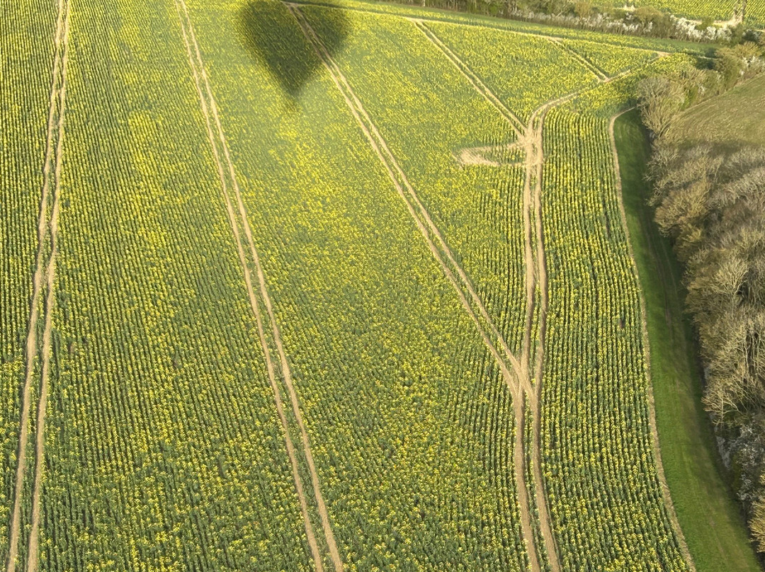 Virgin Balloon Flights - Stoke Rochford Hall-Stoke Rochford必去景点
