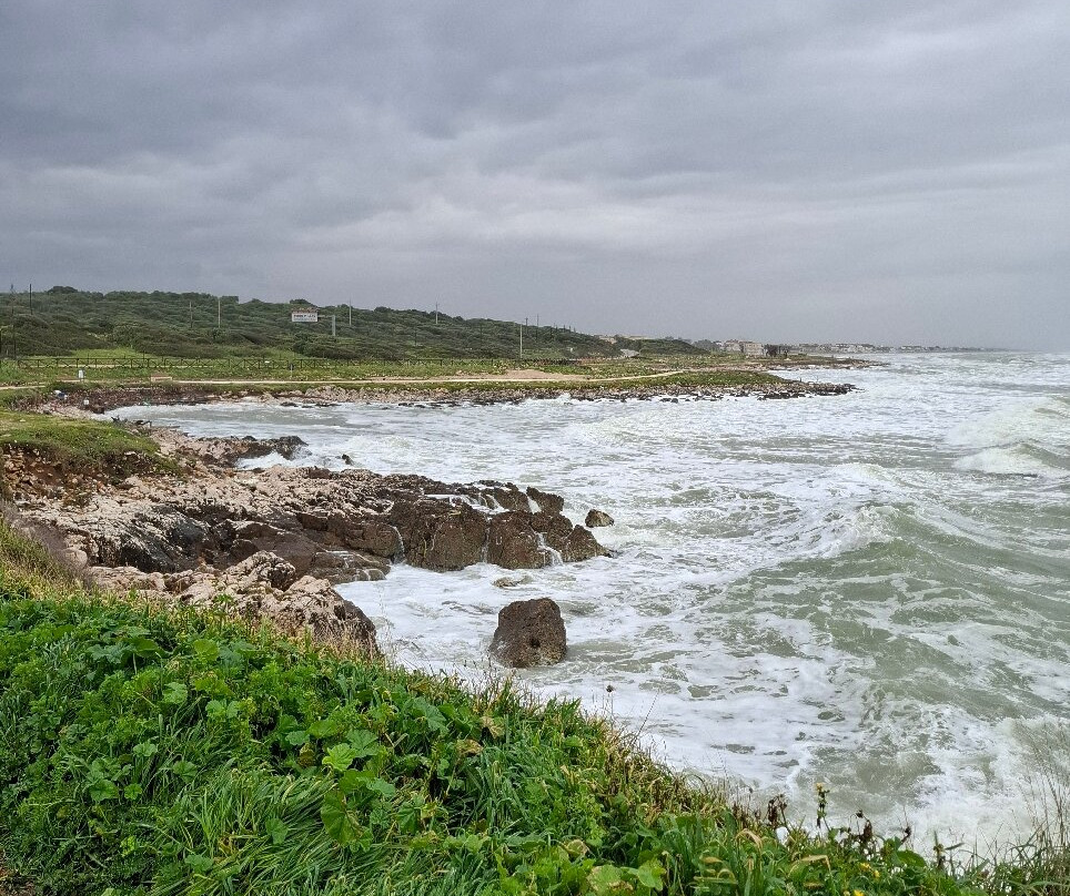 Spiaggia di Torre Mileto-San Nicandro Garganico必去景点