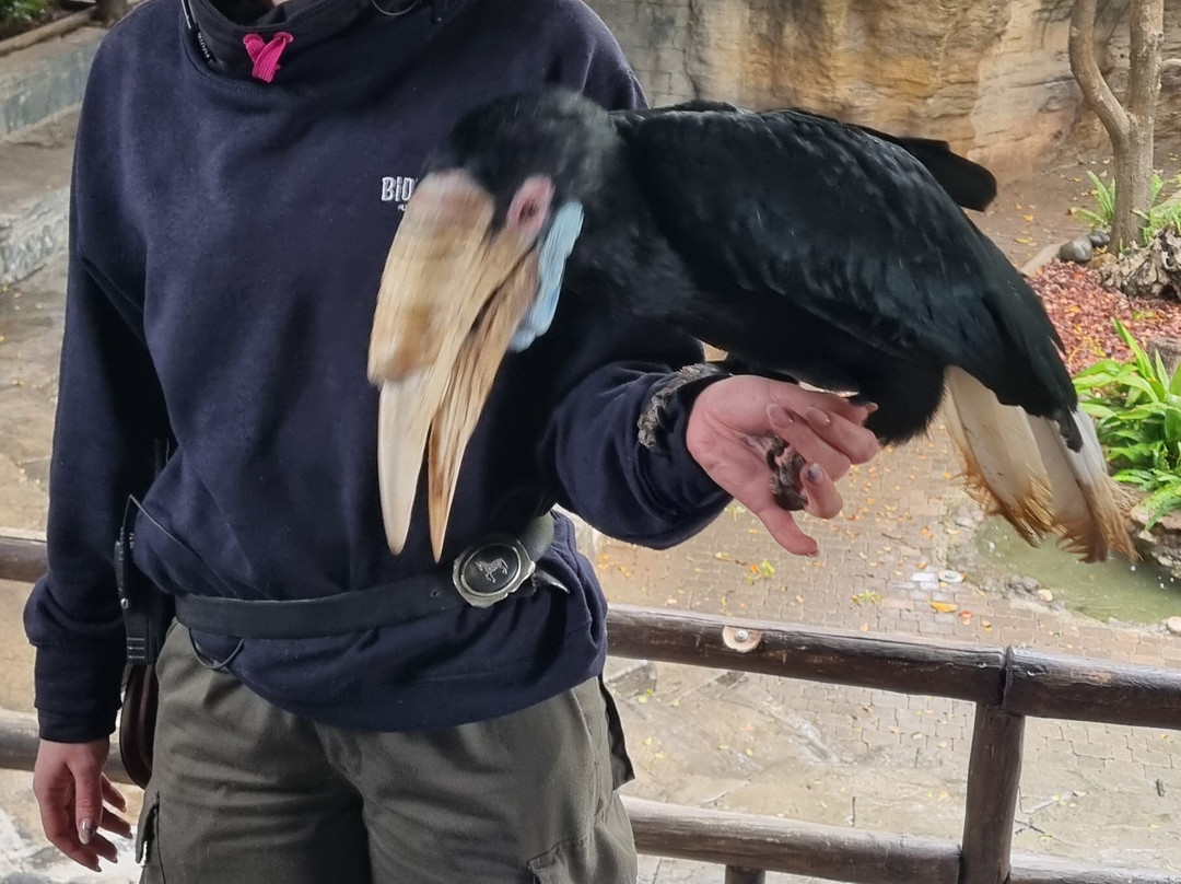 Bioparc Fuengirola-福恩吉罗拉必去景点