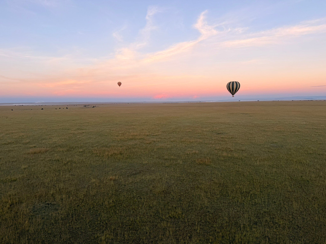 Hot Air Safaris-马赛马拉国家野生动物保护区必去景点