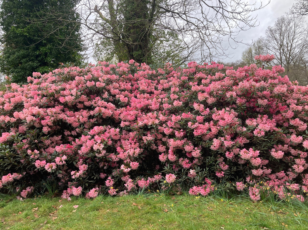 The Savill Garden-Englefield Green必去景点