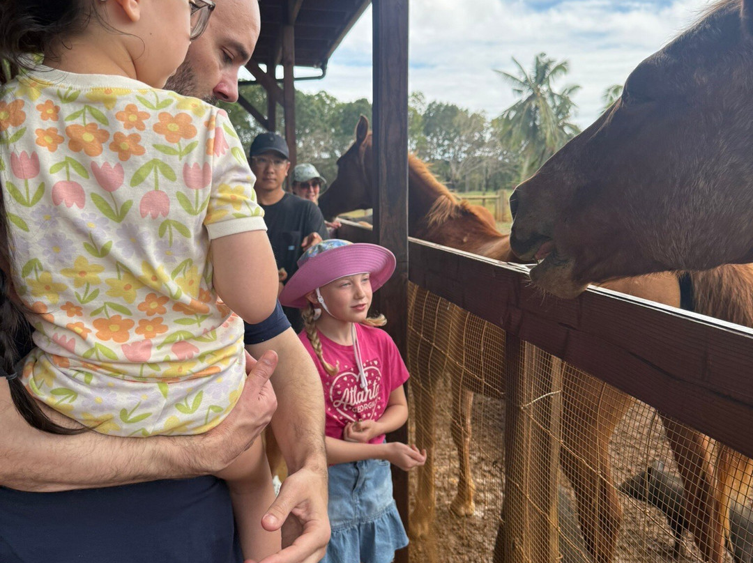 Kauai Plantation Railway-利胡埃必去景点
