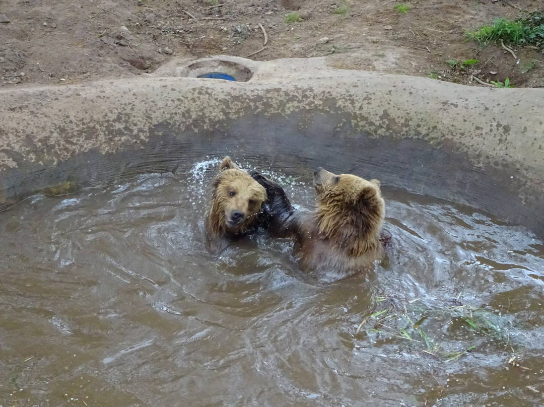 Wildwood Devon-Ottery St. Mary必去景点