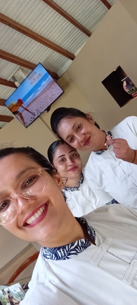 埃克霍冲浪酒店-官方