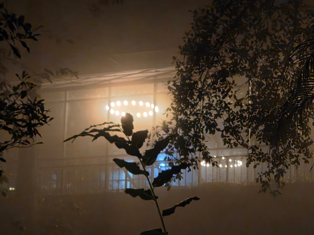 蒙纳大树酒店主图