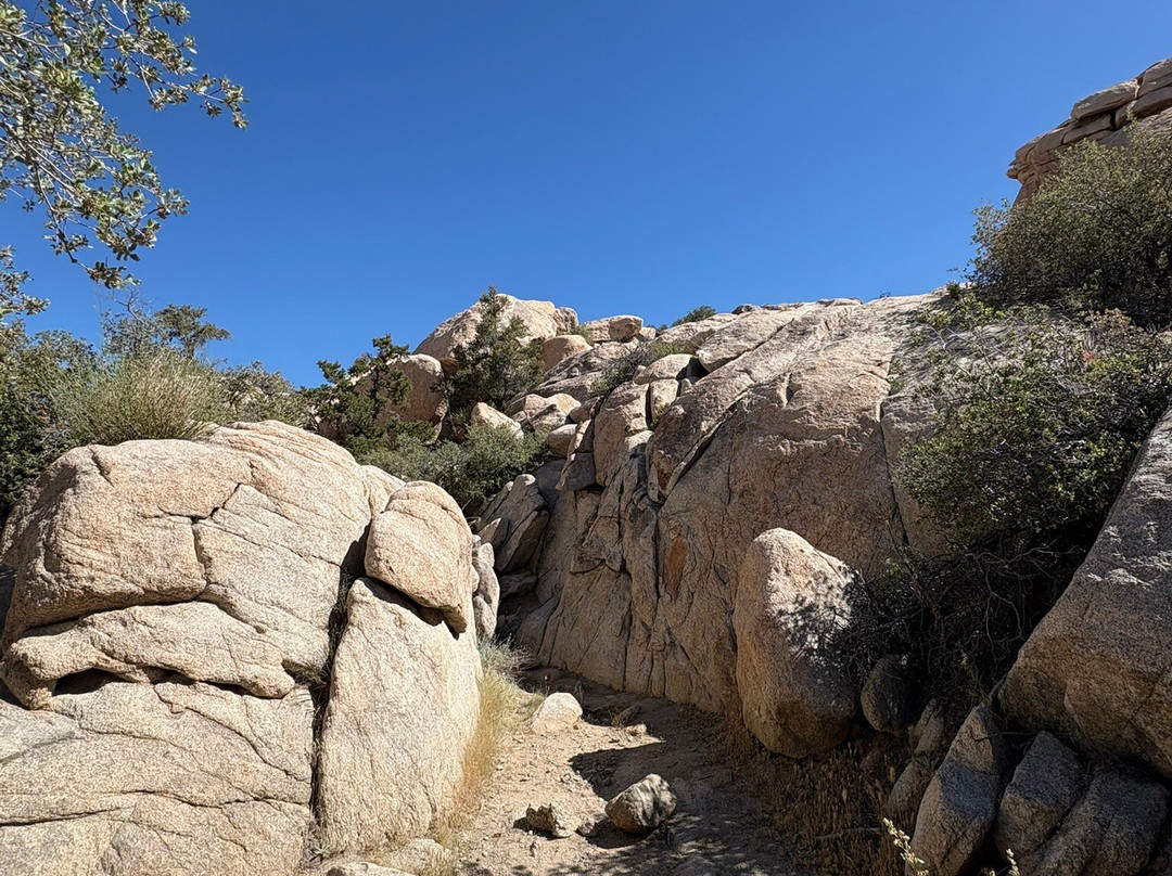 Barker Dam Trail-约书亚树国家公园必去景点