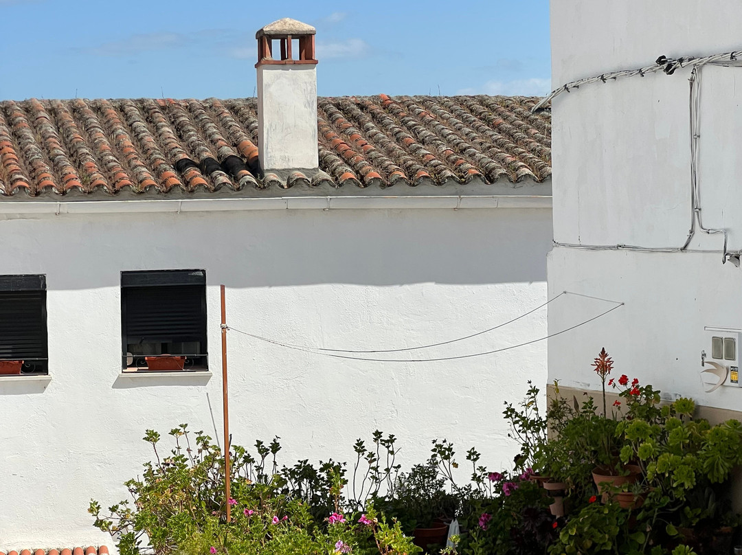 Spain Free Tours - Free Tour Cáceres-卡塞雷斯必去景点