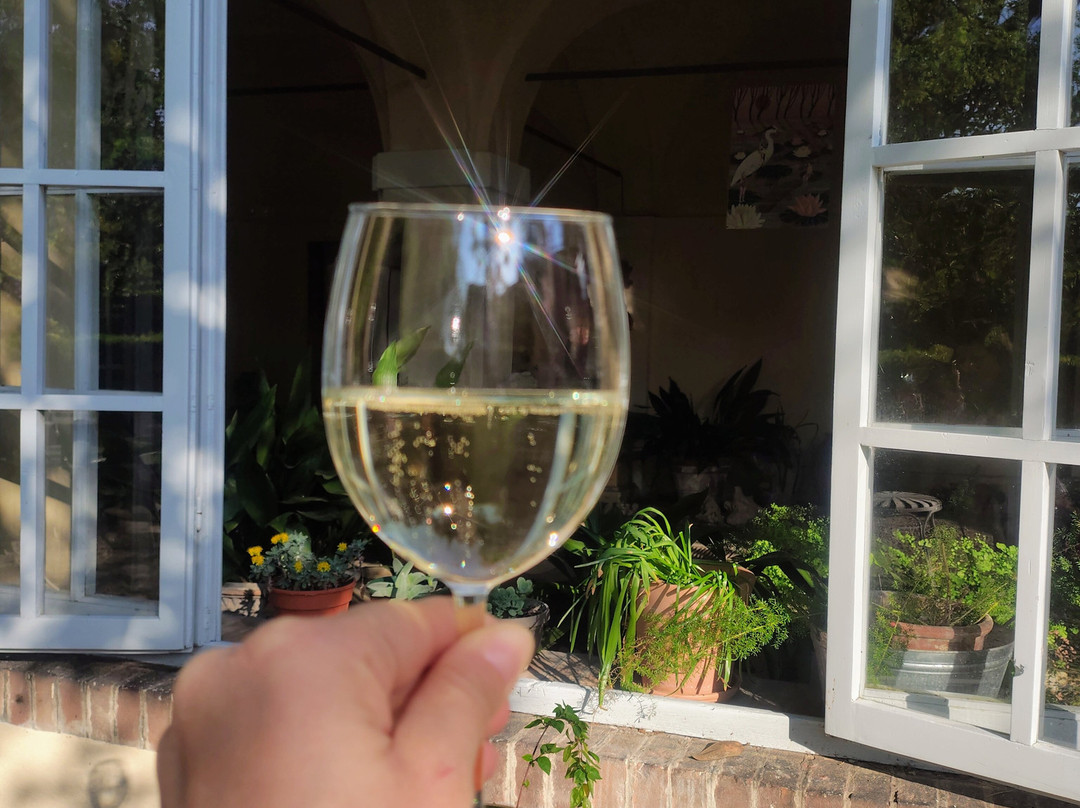 Museo di Palazzo d'Arco-曼托瓦必去景点