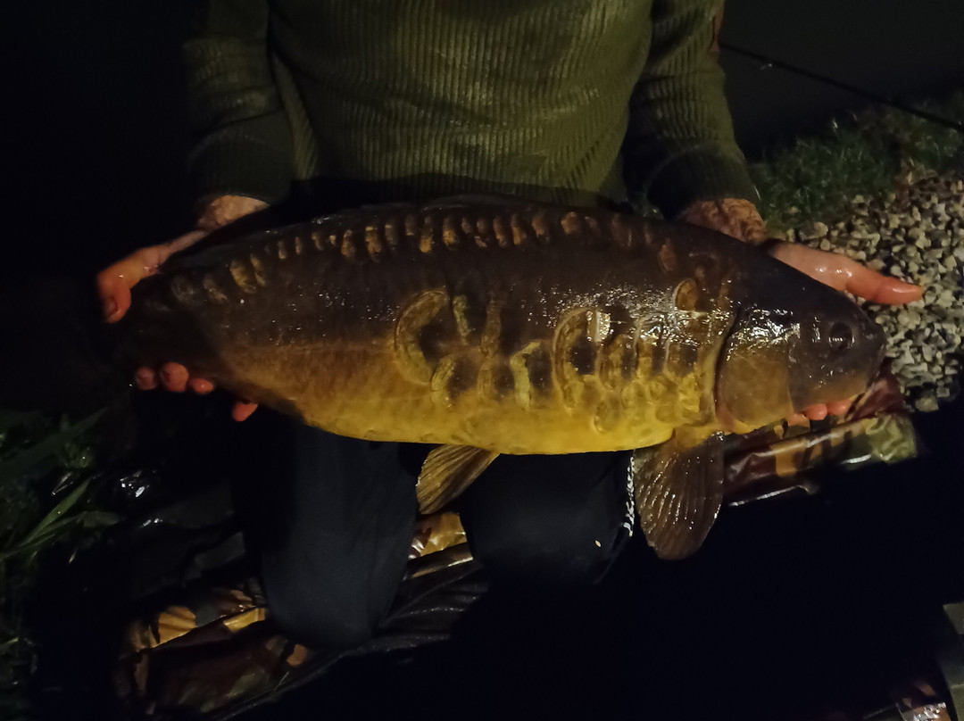 Shirkoak Farm Fishery and Bed & Breakfast-Woodchurch必去景点