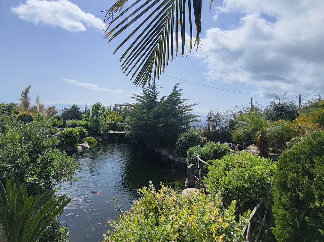 Ilha das Aves-Campanario必去景点