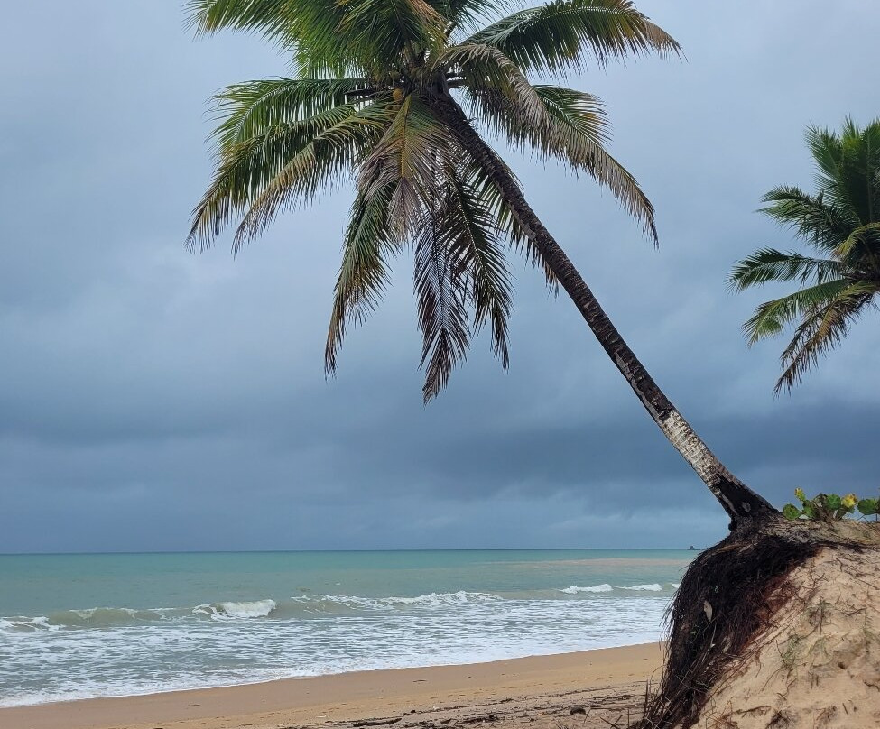 Coqueirinho Beach-Conde必去景点