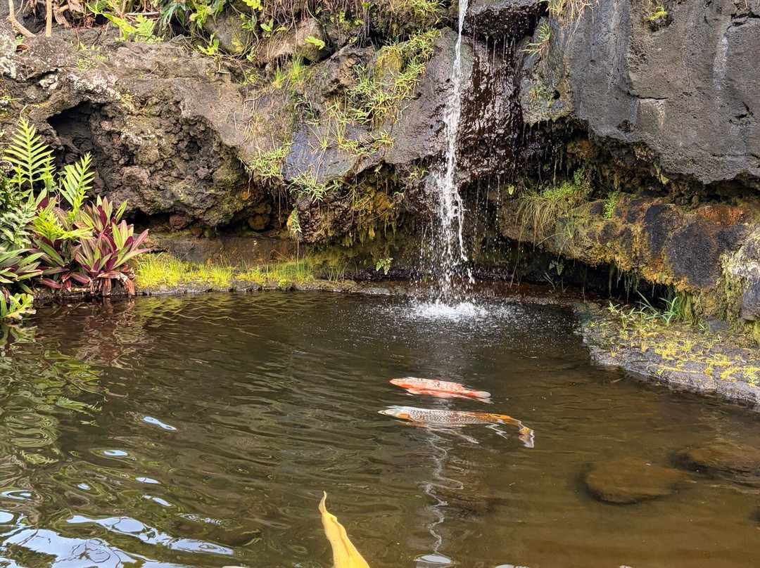 哈纳凯度假村凯拉尼家庭旅馆套房主图