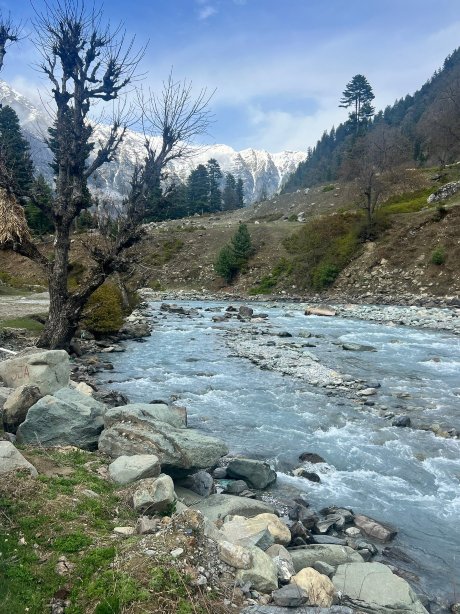 巴达度假村和温泉-旅行者