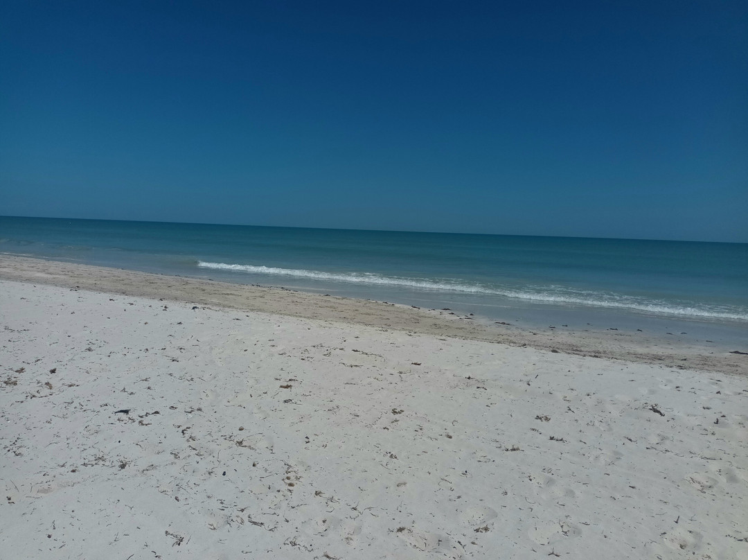 吉尔巴岛棕榈海滩俱乐部主图