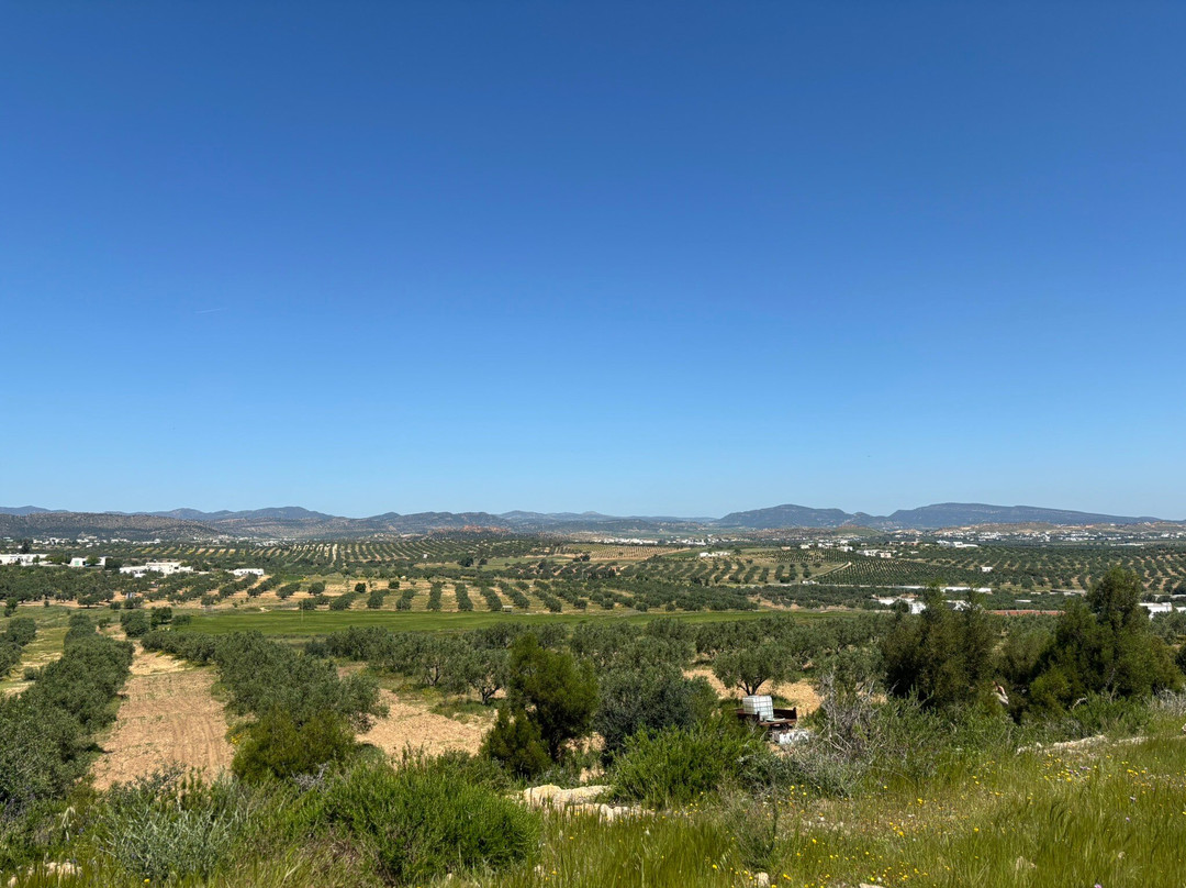 Salma Evasion Quad Hammamet-哈玛麦德必去景点