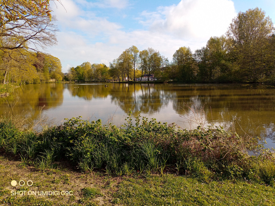 La plage de Renipont-Lasne必去景点