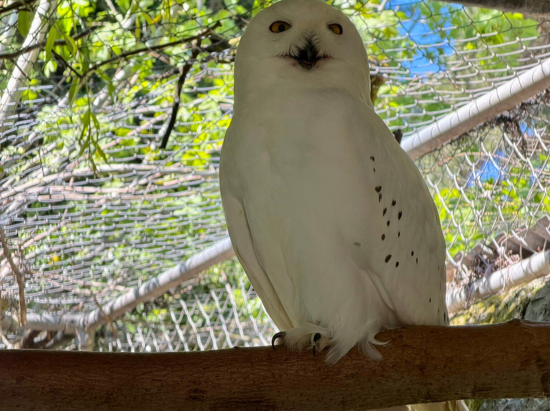 Bioparc Genève Pierre Challandes-Bellevue必去景点