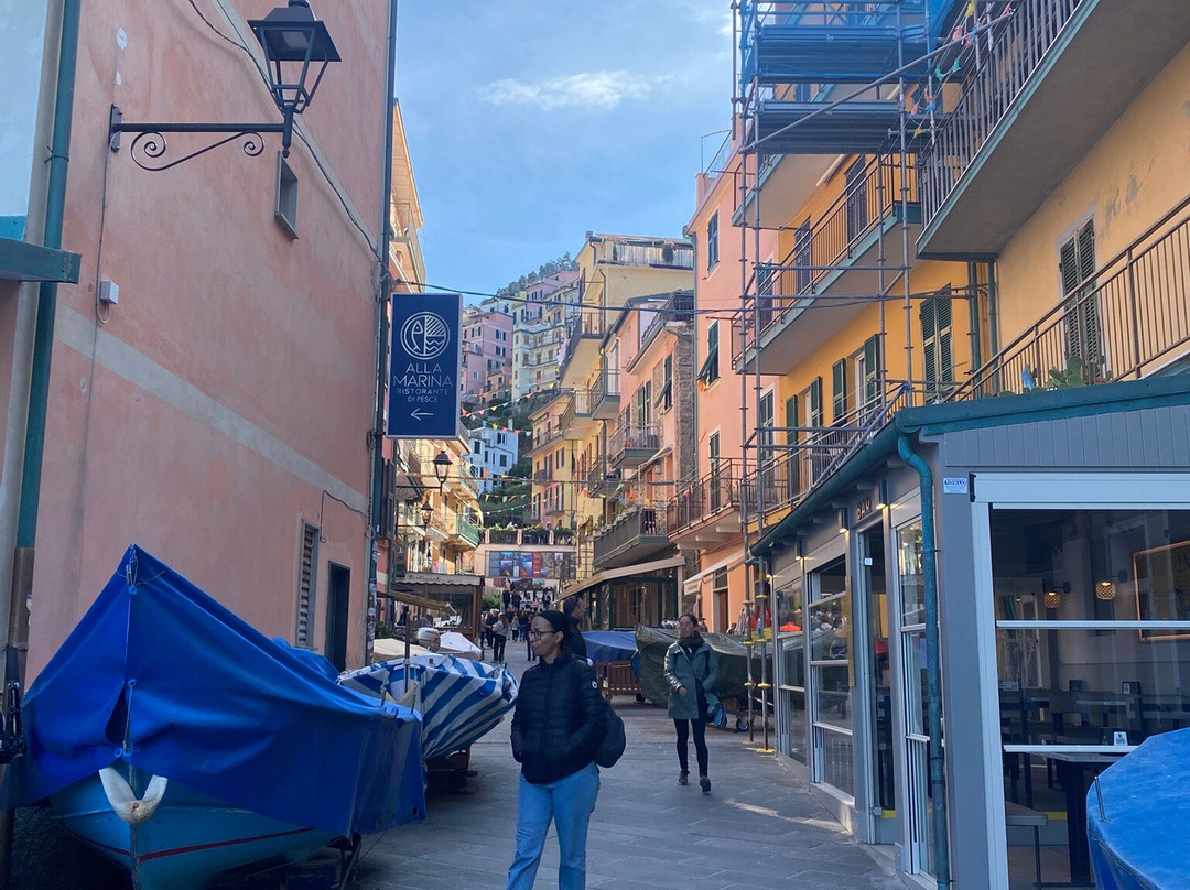Piazza Dario Capellini-Manarola必去景点