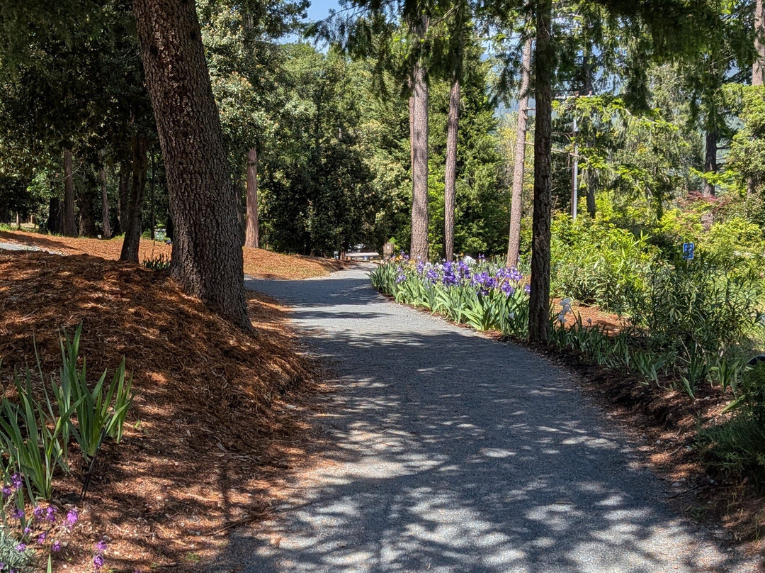 Crystal Hermitage Gardens-Nevada City必去景点