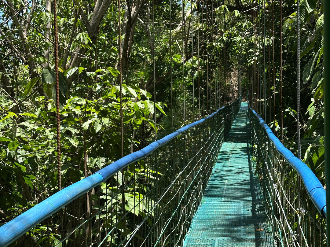 Greenway Nature Day Tours-利蒙港必去景点
