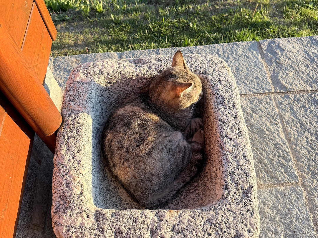 2 Cuori E Un B&B主图