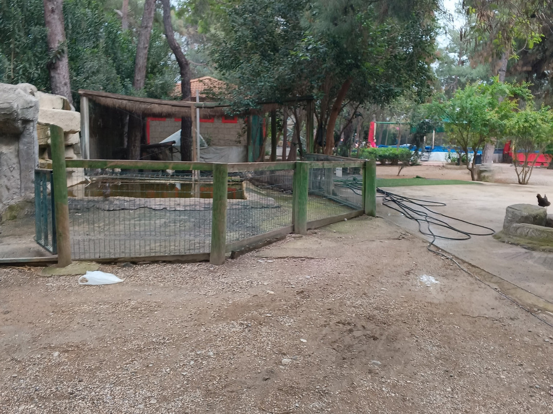 Dino Park-Goynuk必去景点