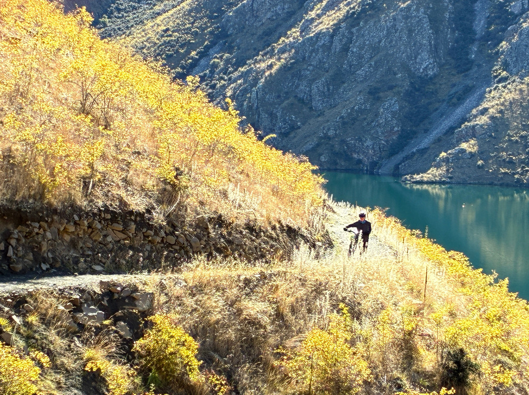 Cycle Journeys Twizel-特威泽尔必去景点
