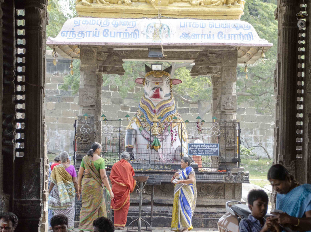Ekambareswarar Temple-甘吉布勒姆必去景点