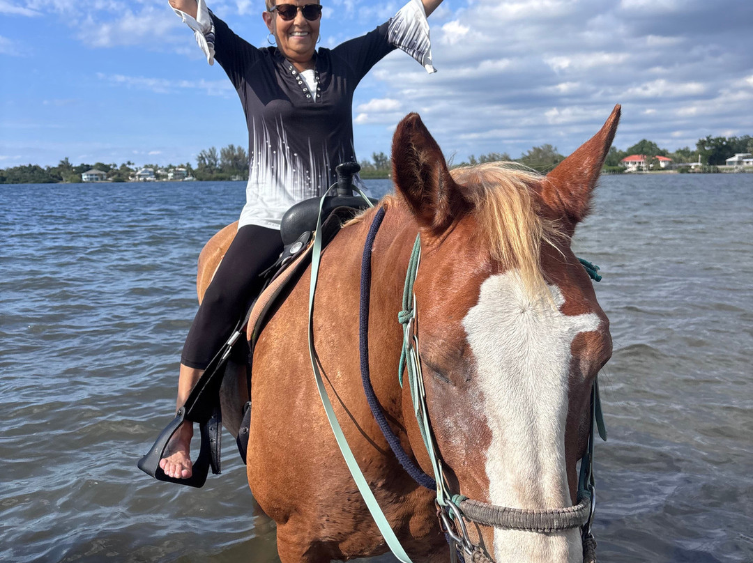 Florida Beach Horses-布雷登顿必去景点