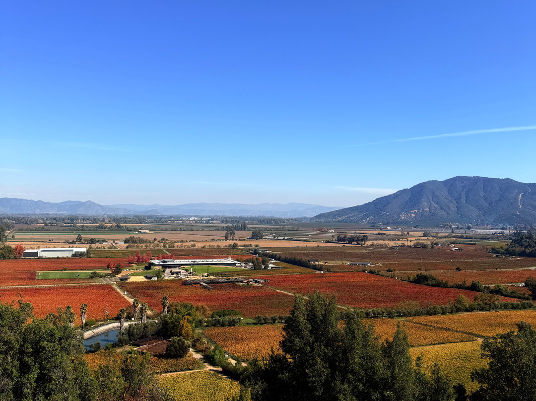 Colchagua Turismo Rural-圣克鲁斯必去景点