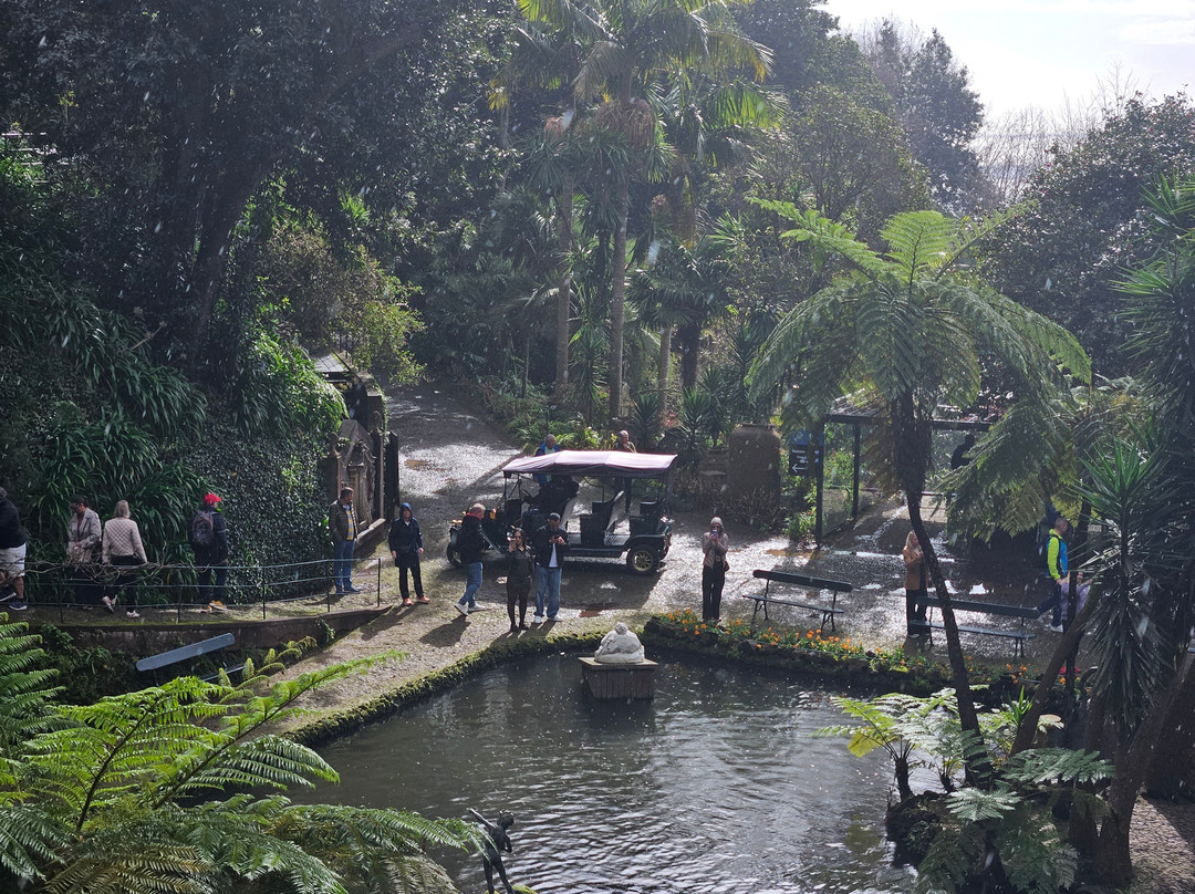 Monte Palace Madeira-沙尔必去景点