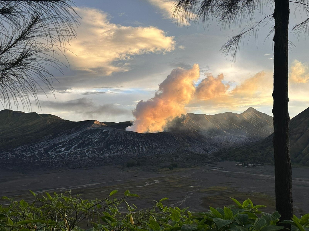 Bromo Eco Tourism-玛琅必去景点